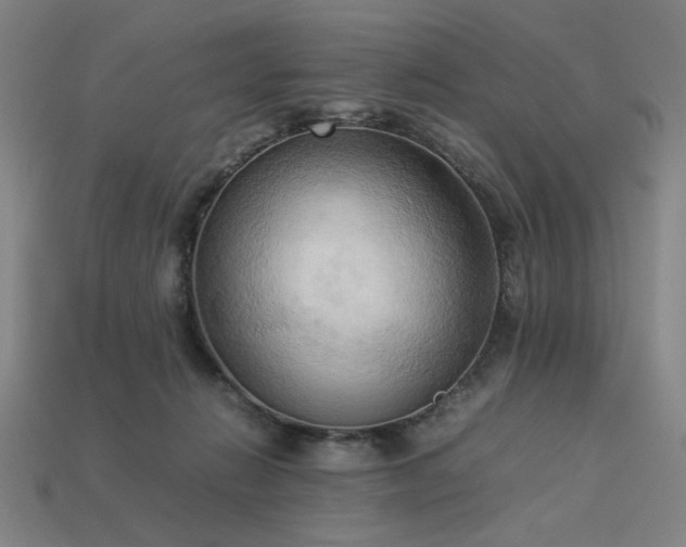 X0000113930270200909251225