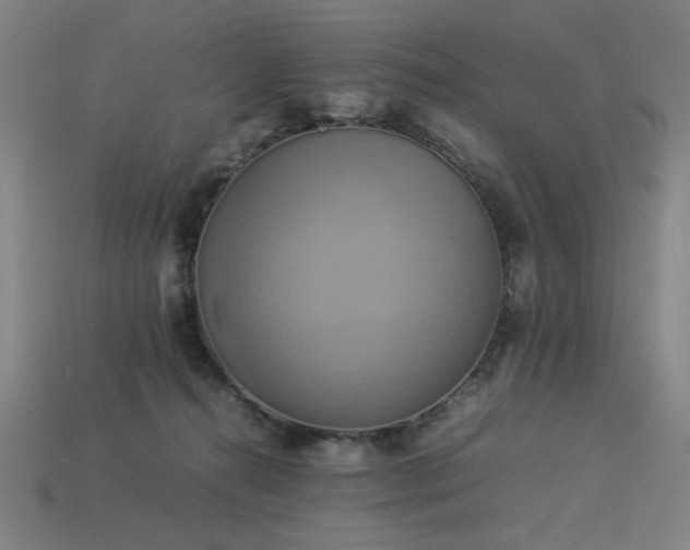 X0000113930272200909251225