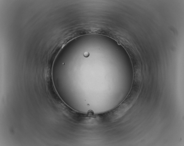 X0000113930274200909251225