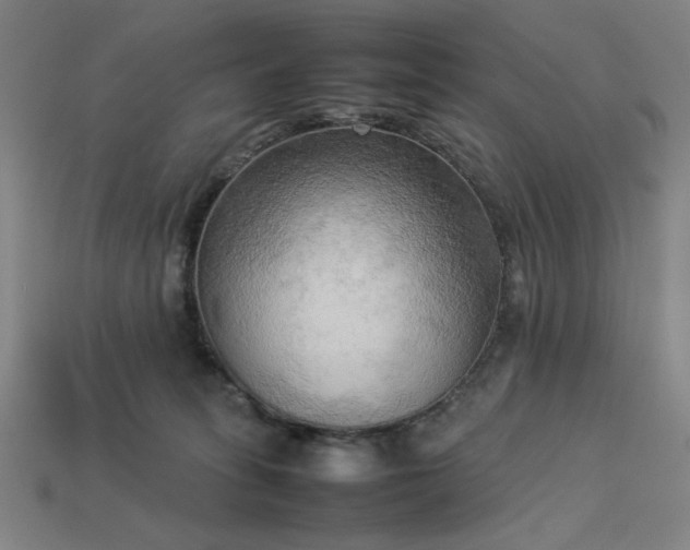 X0000113930275200909251225