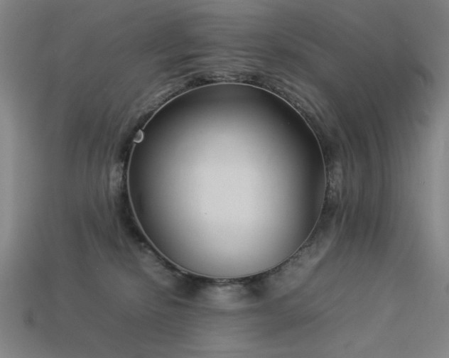 X0000113930278200909251225