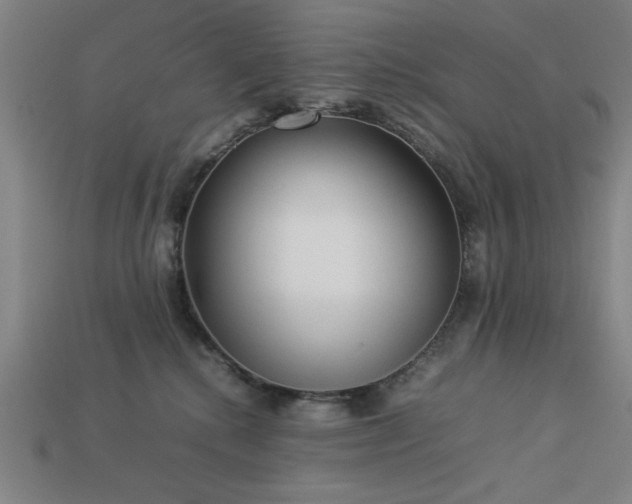 X0000113930280200909251225