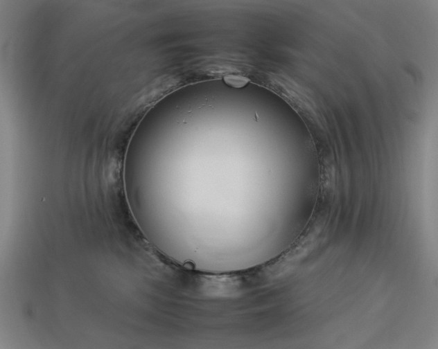 X0000113930281200909251225