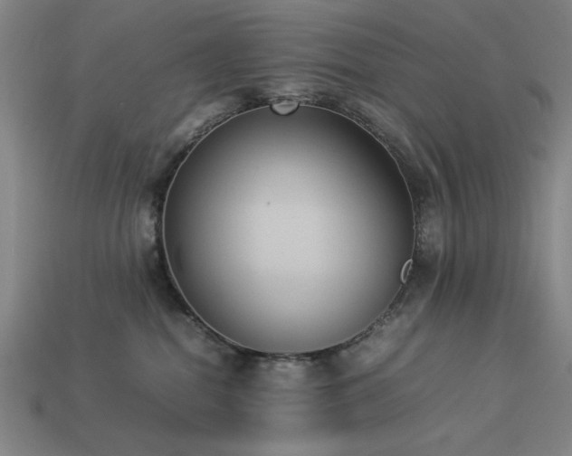 X0000113930282200909251225