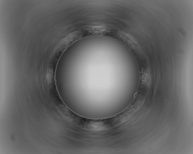 X0000113930283200909251225
