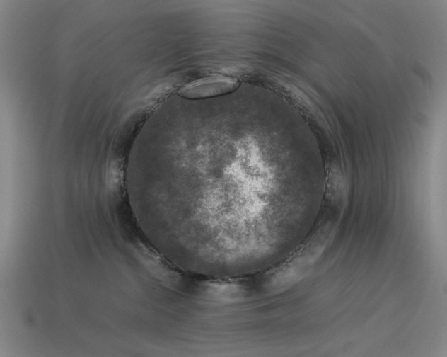 X0000113930284200909251225
