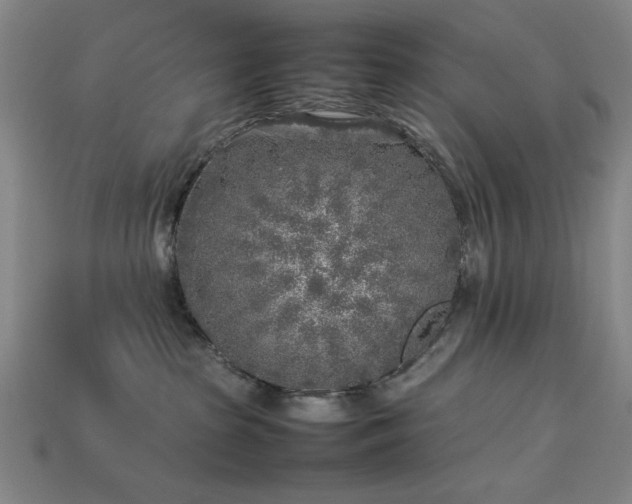 X0000113930285200909251225