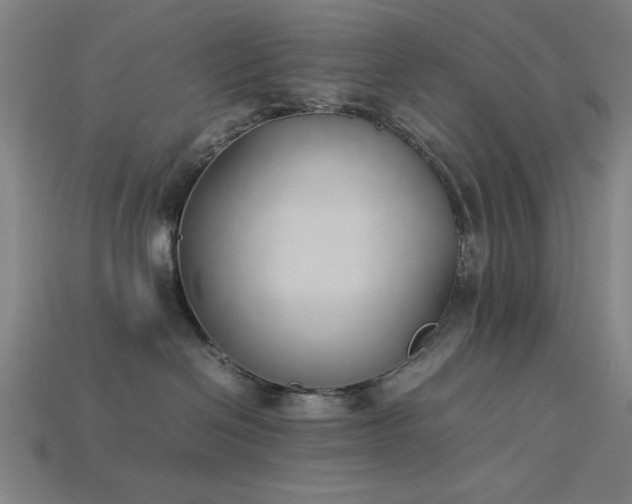 X0000113930286200909251225