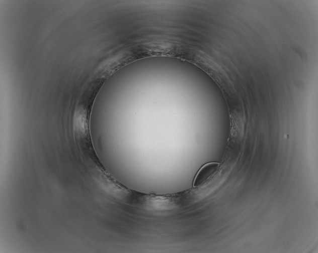 X0000113930287200909251225