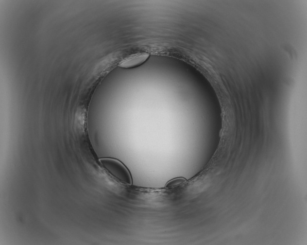 X0000113930288200909251225
