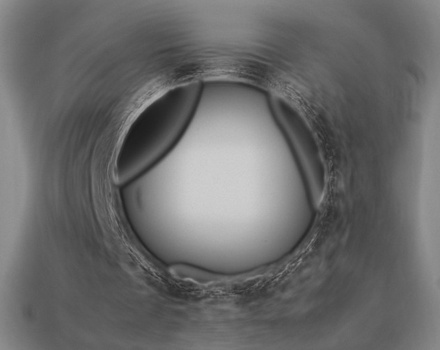 X0000113930289200909251225