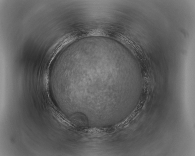 X0000113930290200909251225