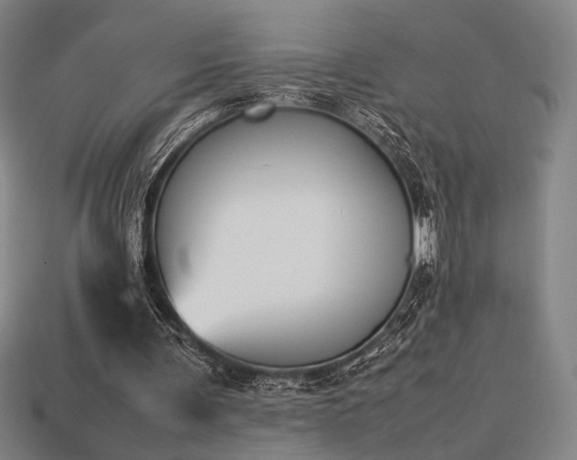 X0000113930291200909251225