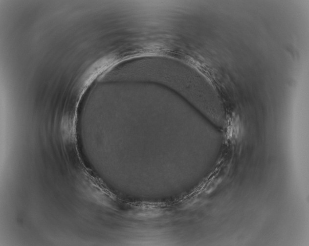 X0000113930292200909251225