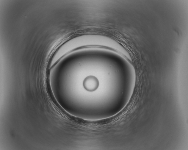 X0000113930293200909251225