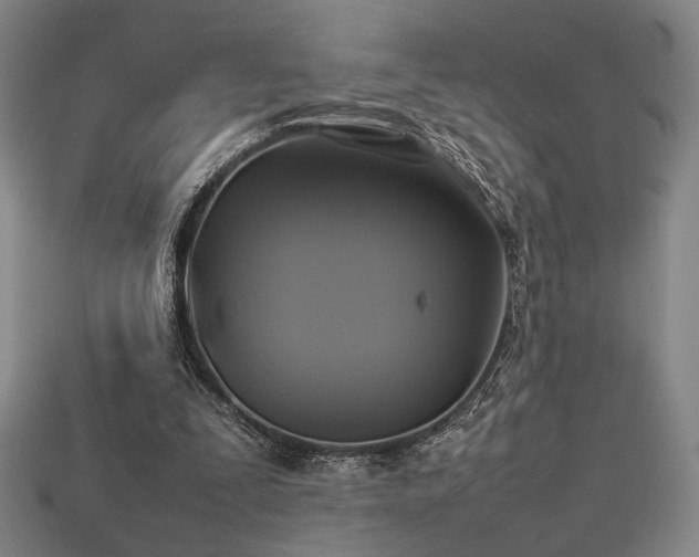 X0000113930295200909251225
