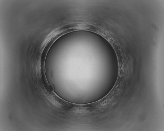 X0000113930296200909251225