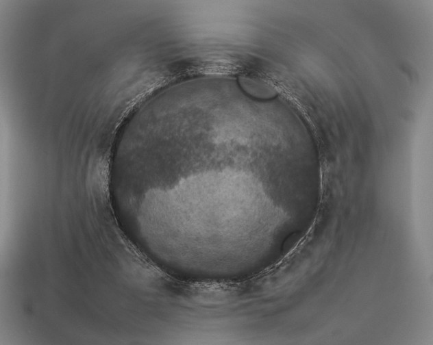 X0000113930297200909251225