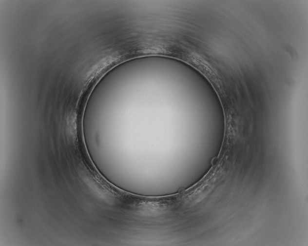 X0000113930298200909251225