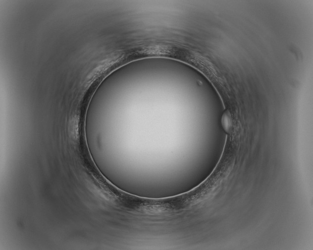 X0000113930299200909251225