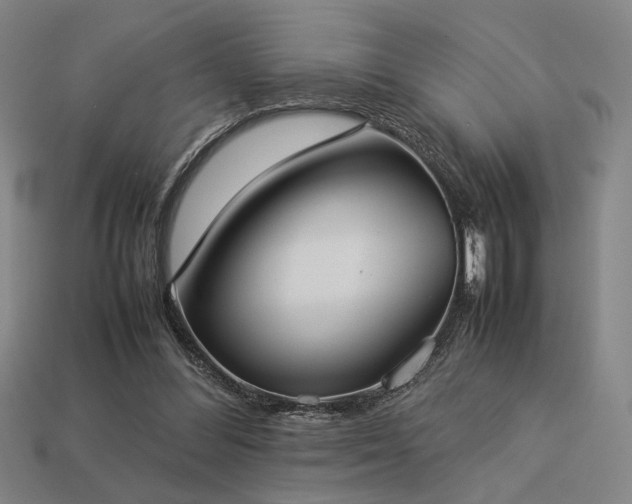 X0000113930300200909251225
