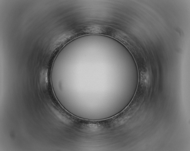 X0000113930302200909251225