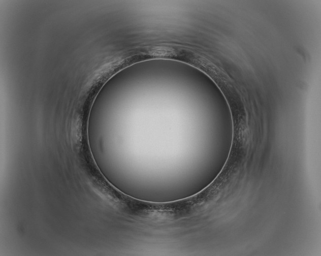 X0000113930303200909251225