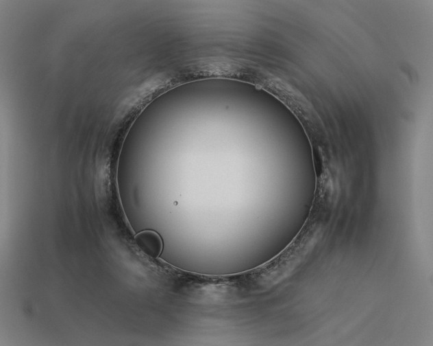 X0000113930306200909251224