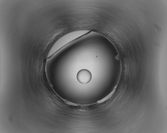 X0000113930308200909251224