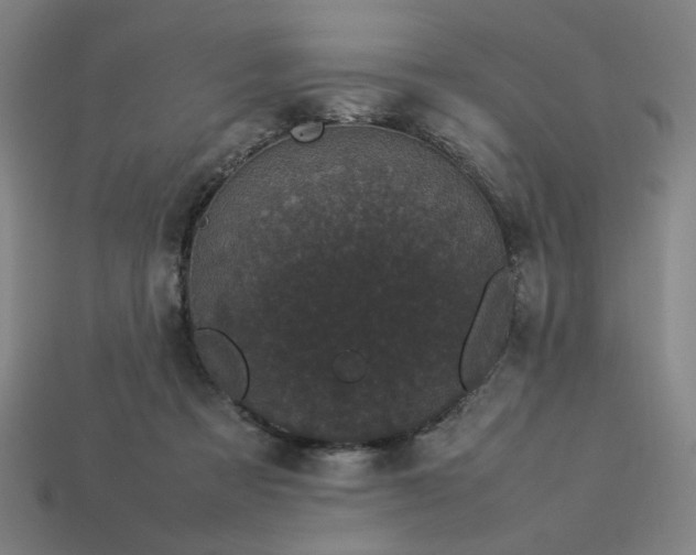X0000113930313200909251224