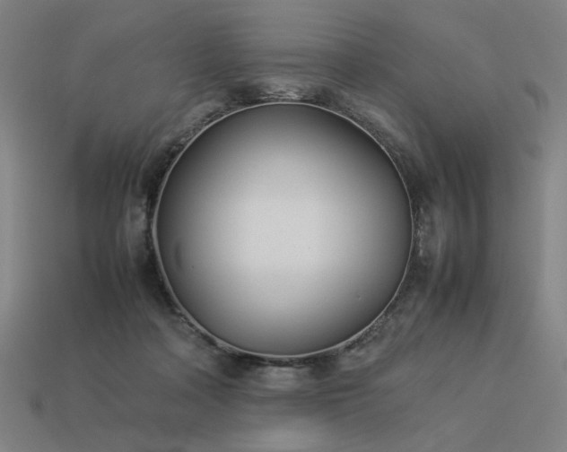 X0000113930314200909251224