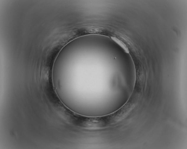 X0000113930315200909251224