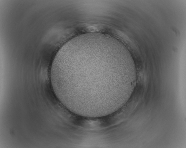 X0000113930317200909251224