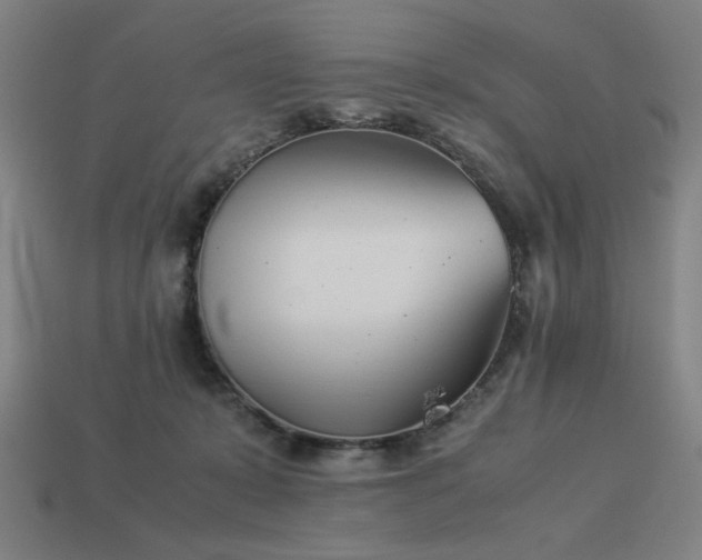 X0000113930319200909251224