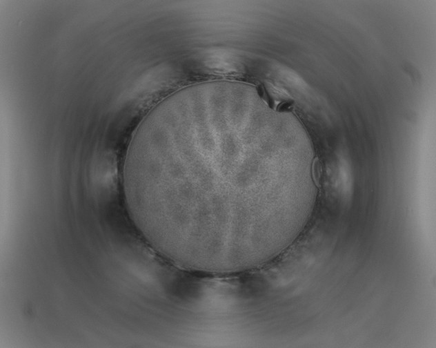 X0000113930320200909251224