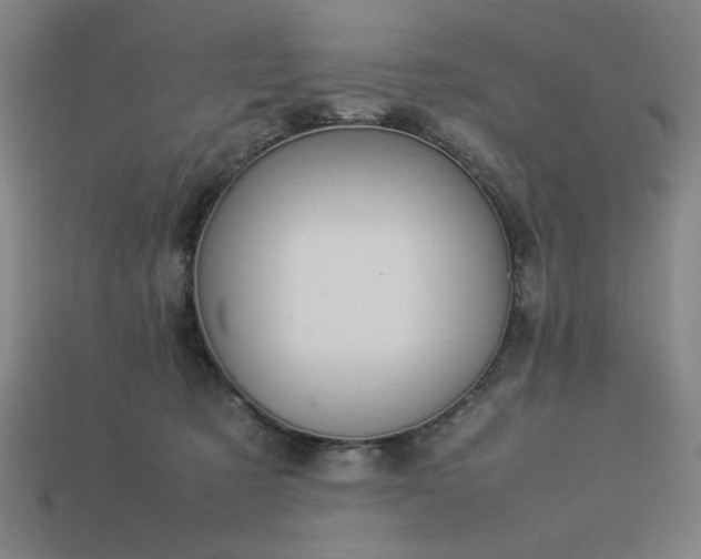 X0000113930321200909251224