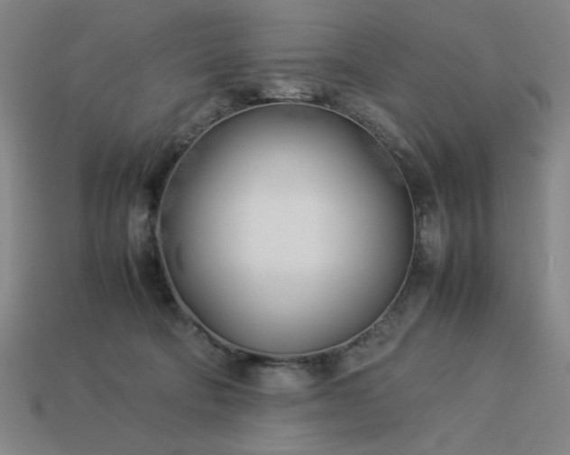 X0000113930322200909251224