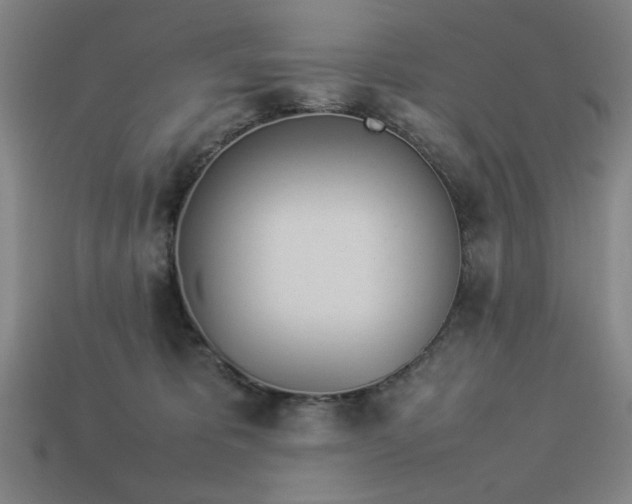 X0000113930325200909251224