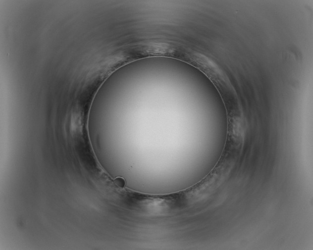 X0000113930326200909251224