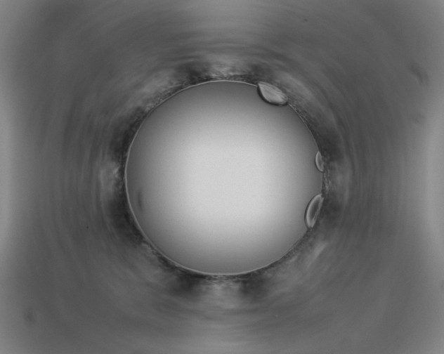 X0000113930327200909251224