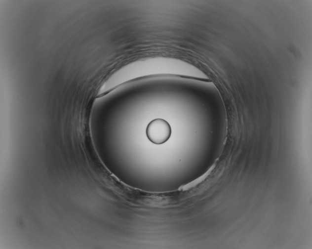 X0000113930328200909251224
