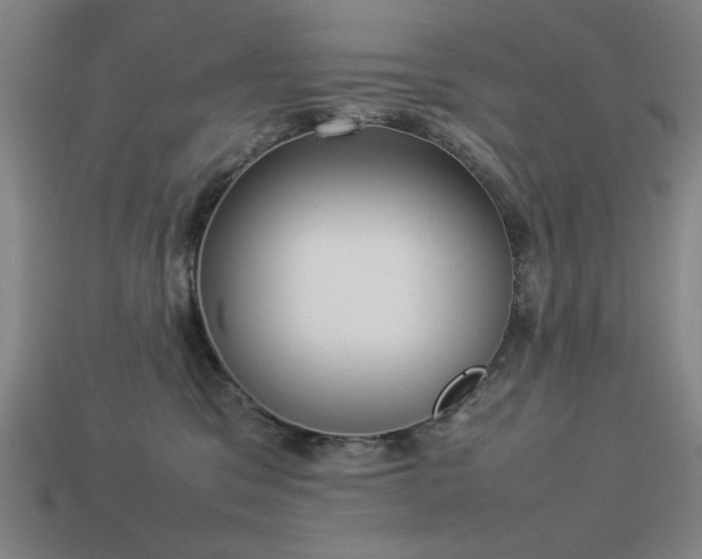 X0000113930329200909251224