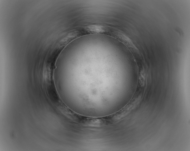 X0000113930330200909251224