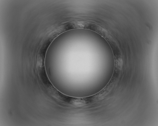 X0000113930331200909251224