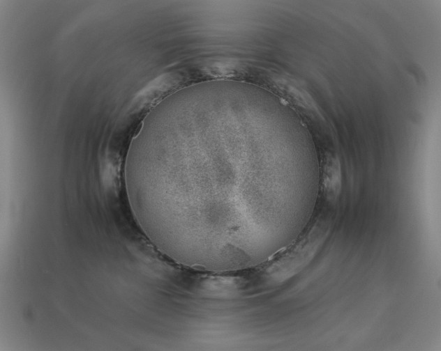 X0000113930332200909251224