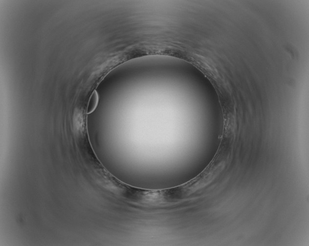 X0000113930335200909251224