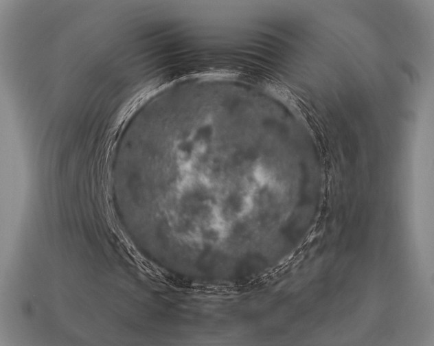 X0000113930337200909251223