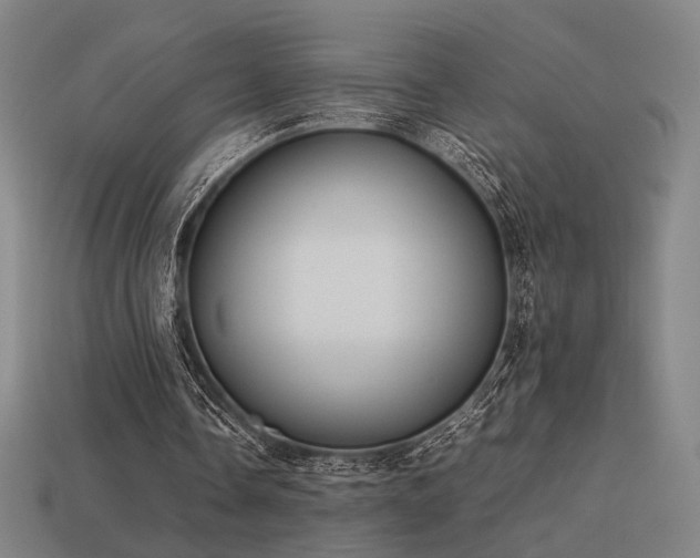 X0000113930338200909251223