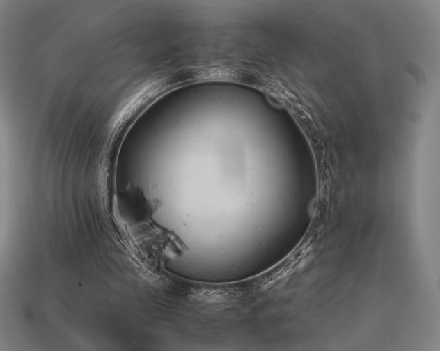 X0000113930341200909251224