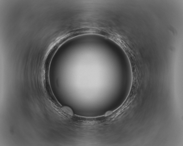 X0000113930342200909251224